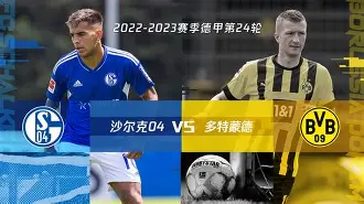 星空娱乐-沙尔克将在对阵多特蒙德的比赛中争胜一场